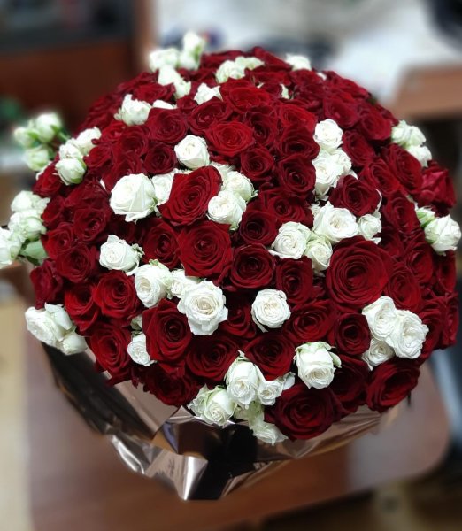 101 красная и белая кустовая роза