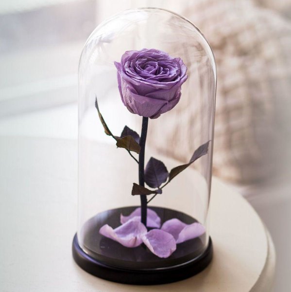 Роза в стеклянной колбе - лучший подарок ?